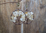 Tree of Life Stone Chip Copper Tone Earrings (Citrine)
