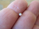 White Opal Nose Bone or L-Bend (Gold)