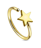 Star Nose Hoop (Steel)