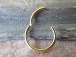 Gold Hinged Segment Ring for Piercings