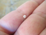 Pearl Nose L Bend  (White)