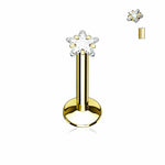 Gold IP Clear Star Gem Labret Piercing